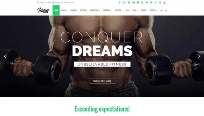Fitness-WordPress-Theme-700x398 Fitness WordPress Theme - Image 1