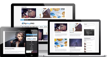 FlyMag-Pro-WordPress-Theme-450x239-1 FlyMag Pro WordPress Theme - Image 1
